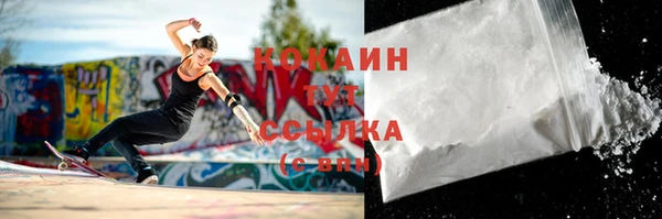 индика Богданович