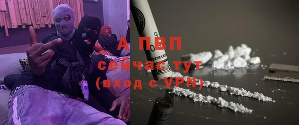 ГАЛЛЮЦИНОГЕННЫЕ ГРИБЫ Липки